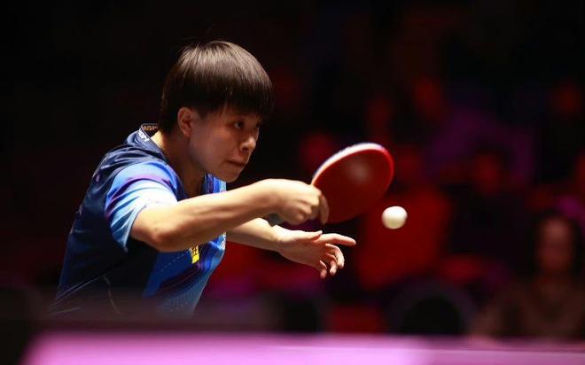 悉的领域 悉的领域