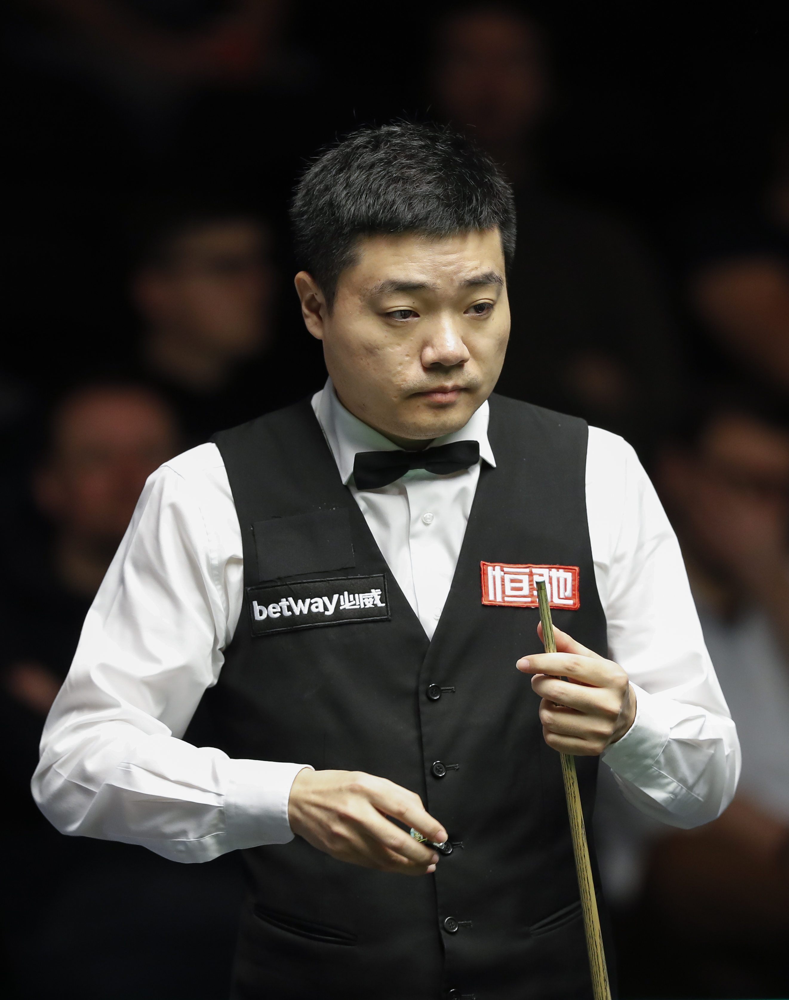 这些年轻的 这些年轻的